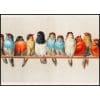 Birds In a Row Vintage